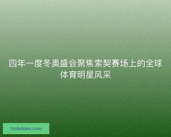 四年一度冬奥盛会聚焦索契赛场上的全球体育明星风采