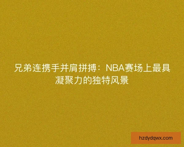 兄弟连携手并肩拼搏：NBA赛场上最具凝聚力的独特风景